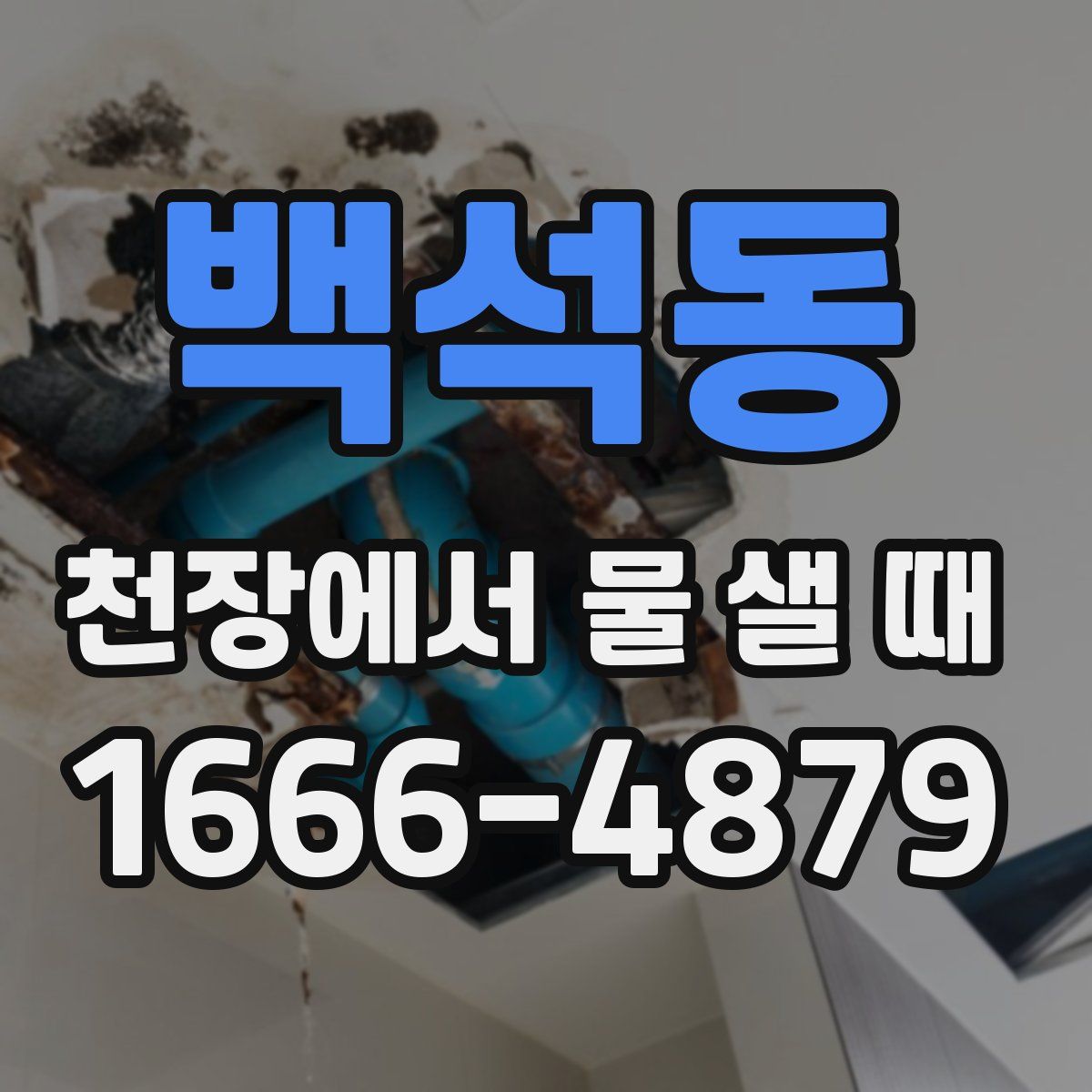 백석동 천장에서 물 샐 때