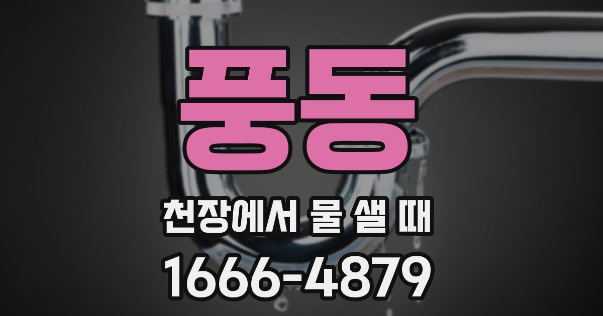풍동 천장에서 물 샐 때