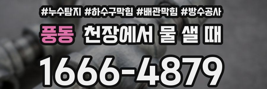 풍동 천장에서 물 샐 때