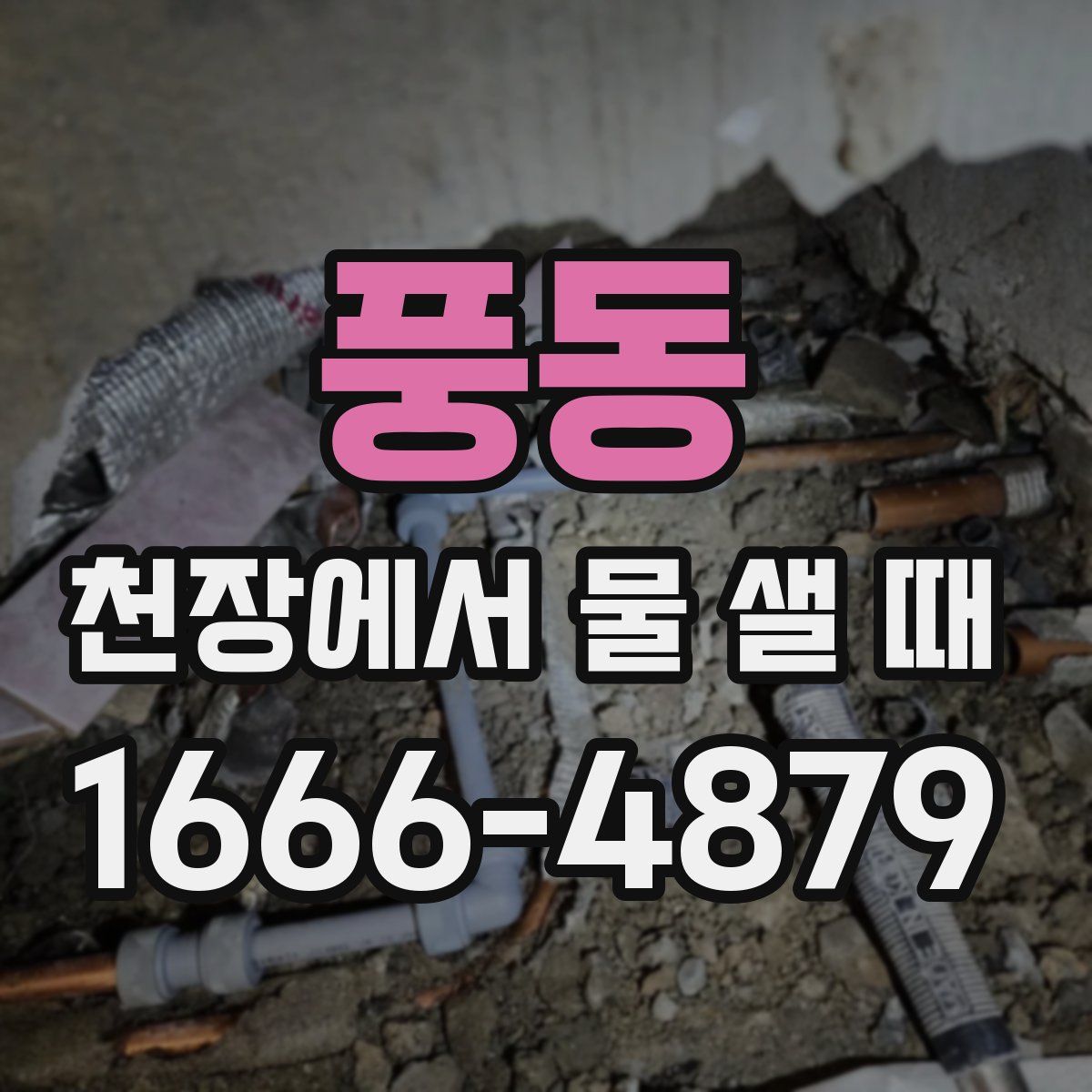 풍동 천장에서 물 샐 때