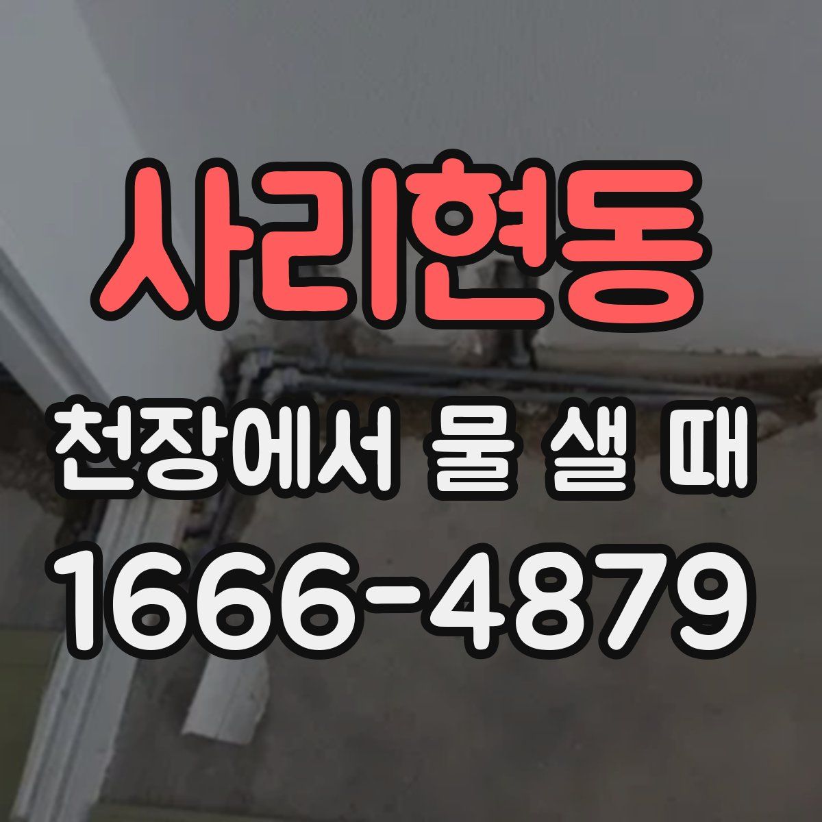 사리현동 천장에서 물 샐 때