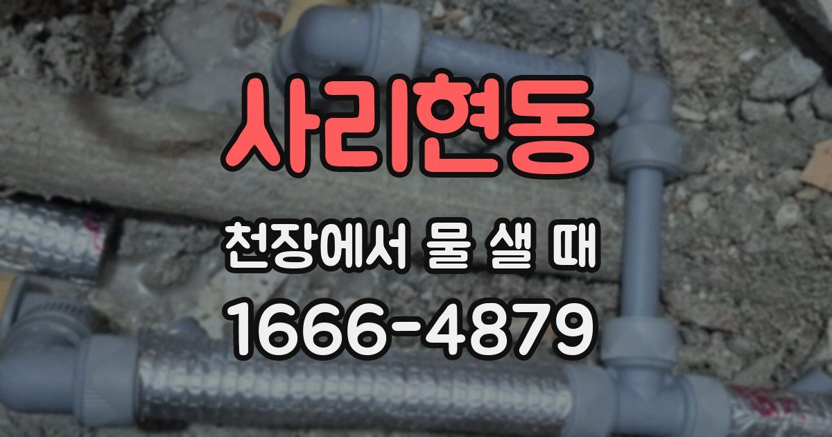 사리현동 천장에서 물 샐 때