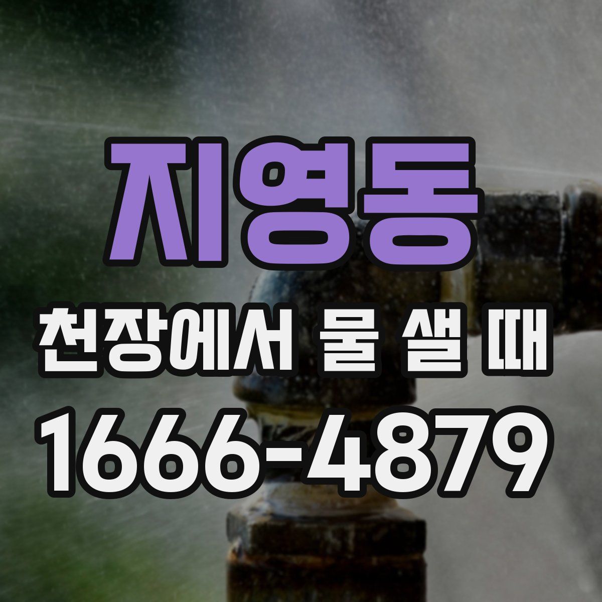 지영동 천장에서 물 샐 때