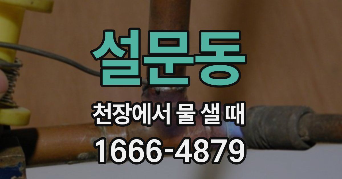 설문동 천장에서 물 샐 때