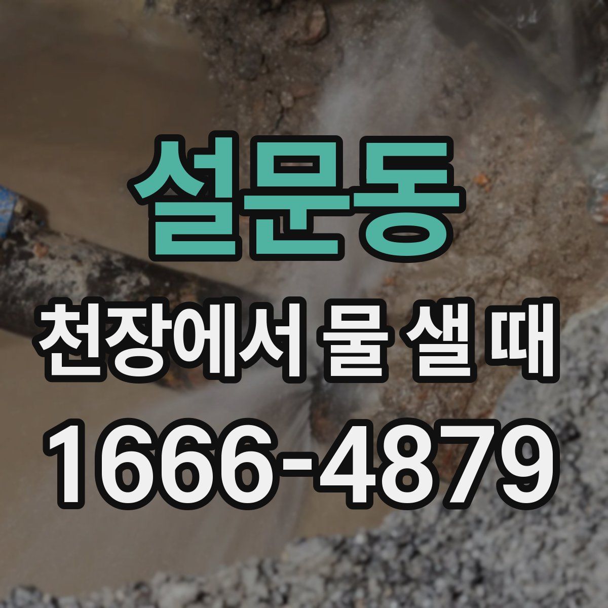 설문동 천장에서 물 샐 때
