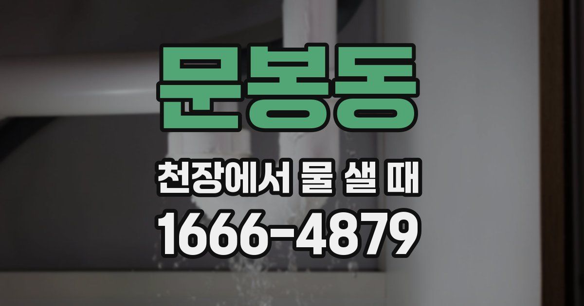 문봉동 천장에서 물 샐 때