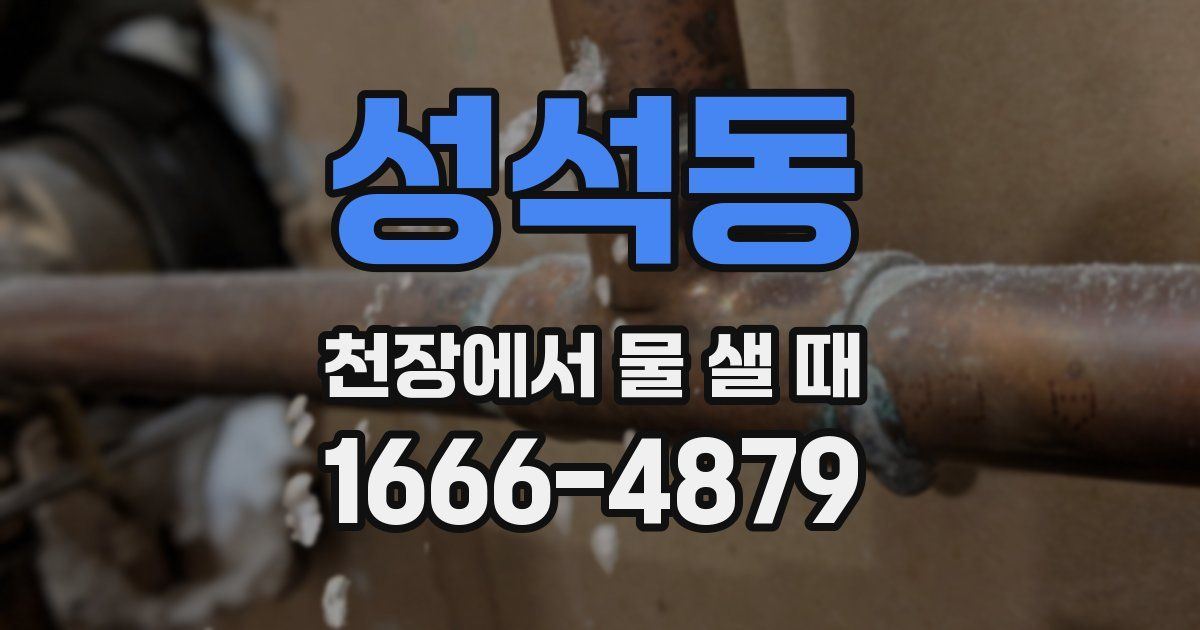 성석동 천장에서 물 샐 때