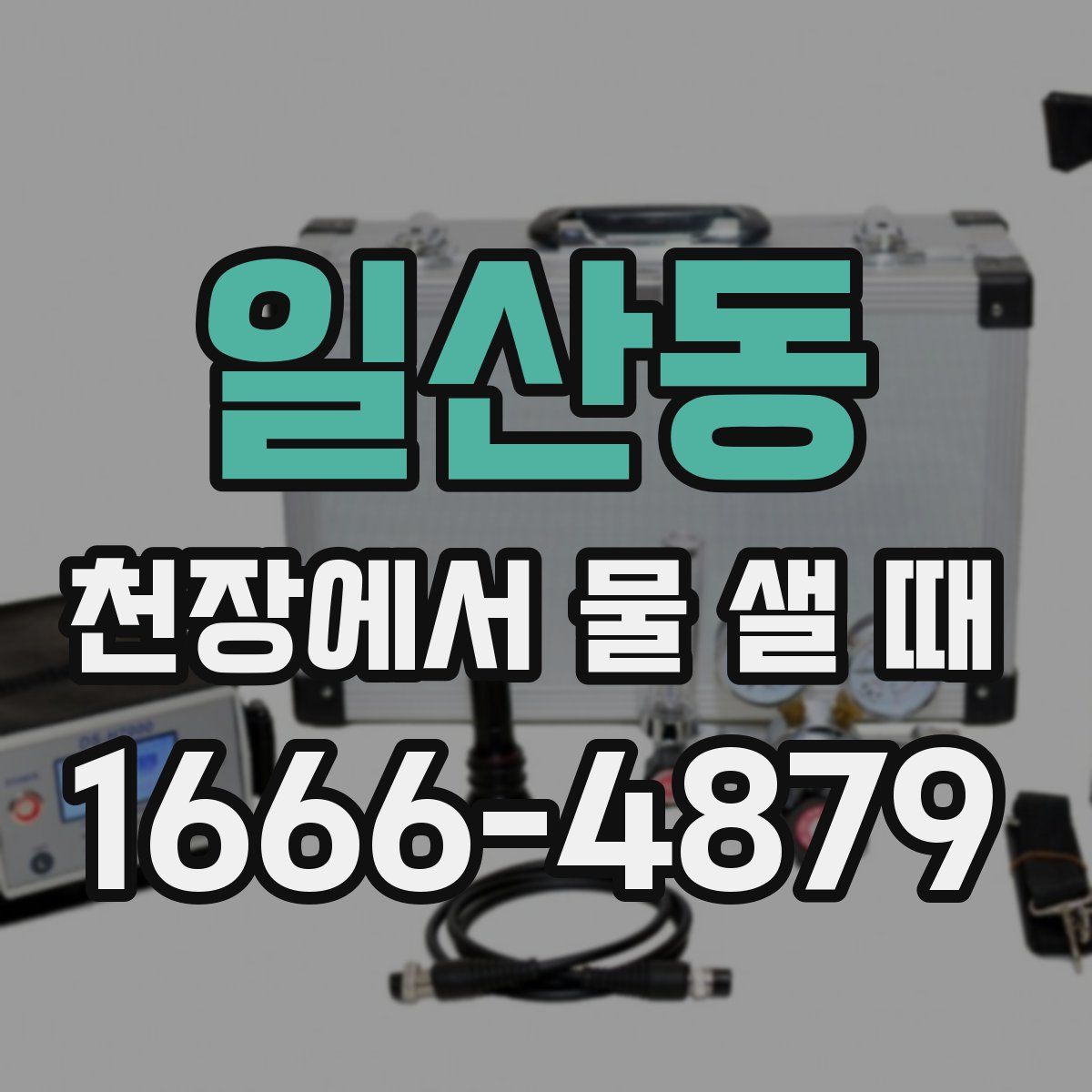 일산동 천장에서 물 샐 때