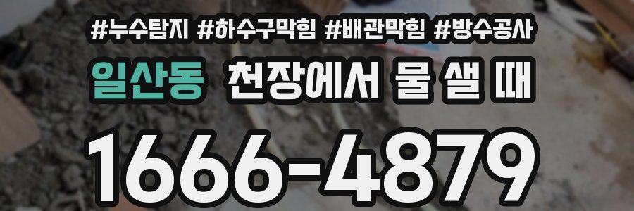 일산동 천장에서 물 샐 때