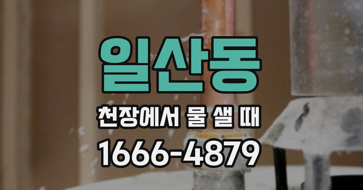 일산동 천장에서 물 샐 때