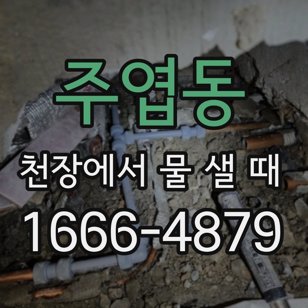 주엽동 천장에서 물 샐 때