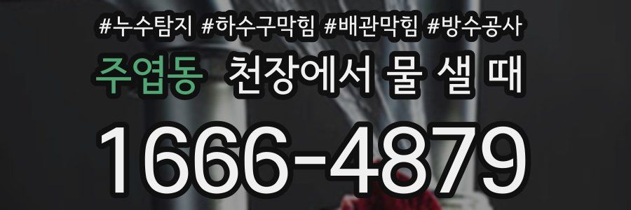 주엽동 천장에서 물 샐 때