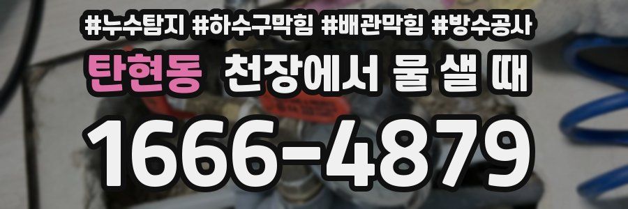탄현동 천장에서 물 샐 때