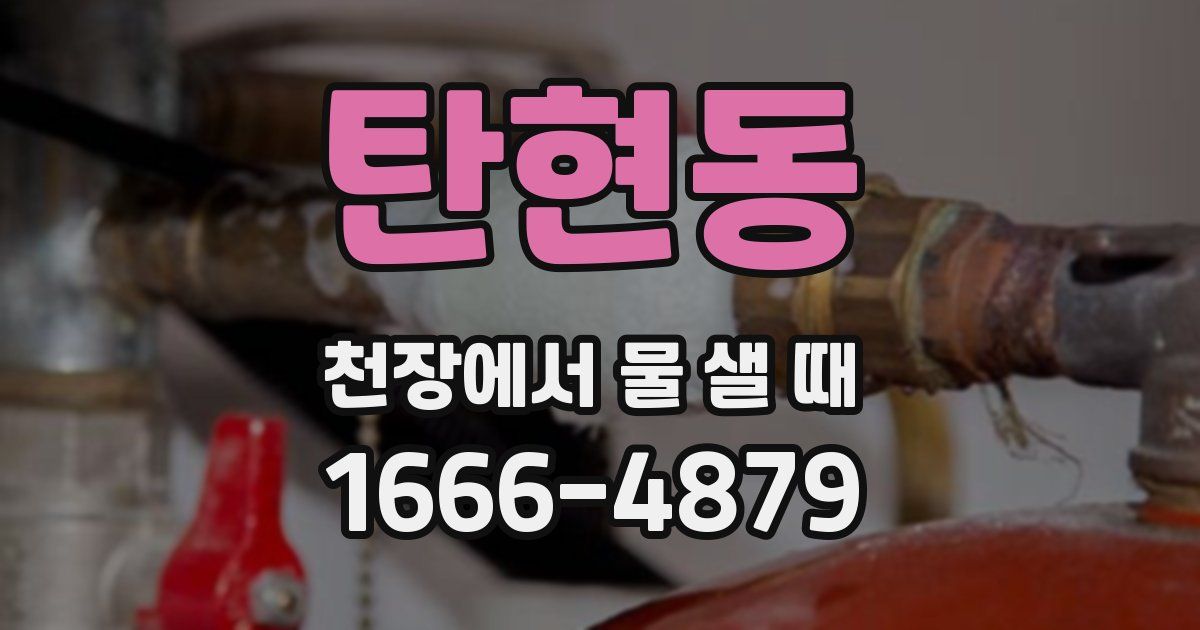 탄현동 천장에서 물 샐 때