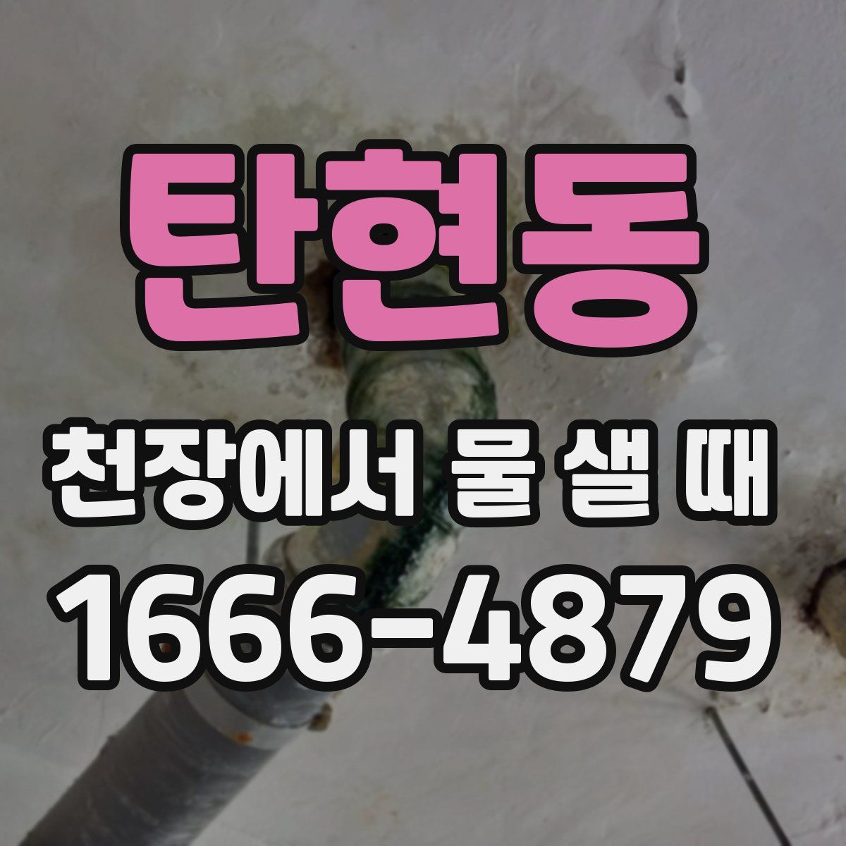 탄현동 천장에서 물 샐 때