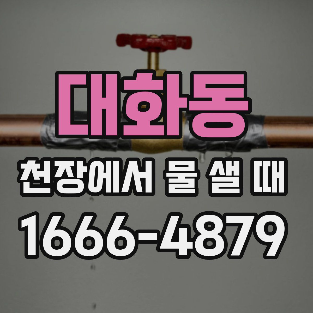 대화동 천장에서 물 샐 때