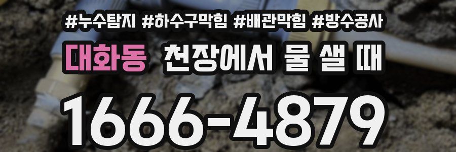 대화동 천장에서 물 샐 때