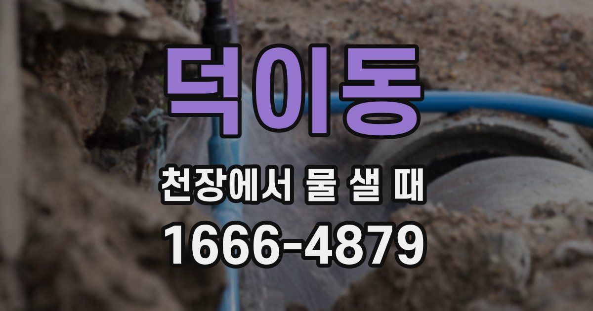 덕이동 천장에서 물 샐 때