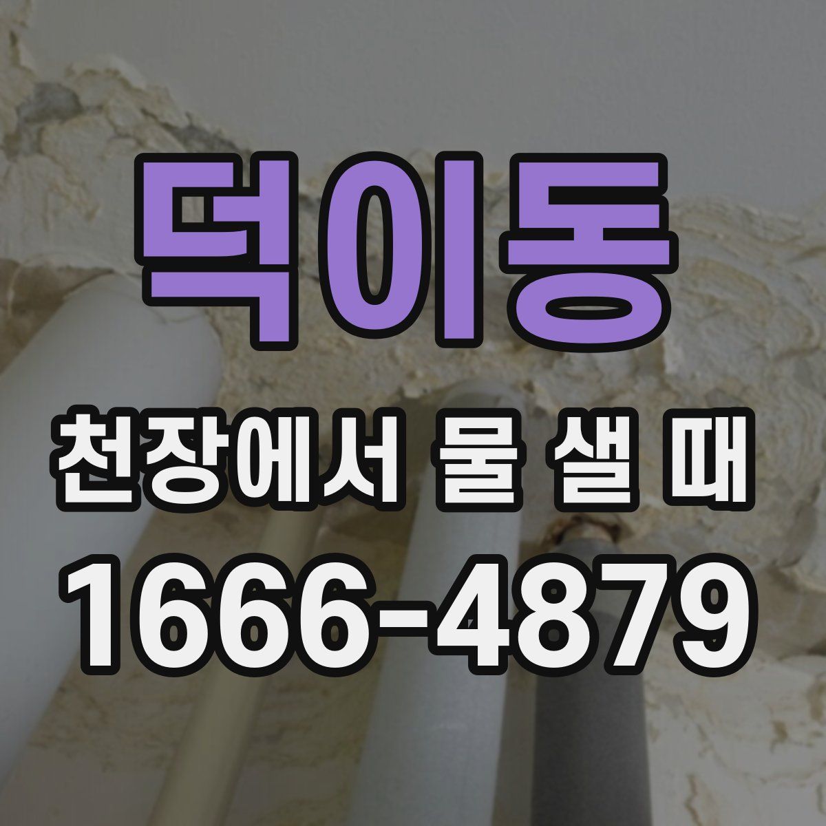 덕이동 천장에서 물 샐 때