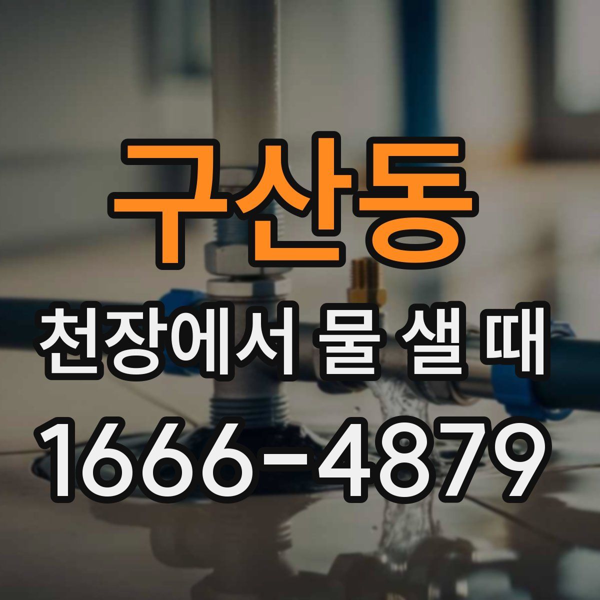 구산동 천장에서 물 샐 때