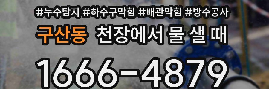 구산동 천장에서 물 샐 때