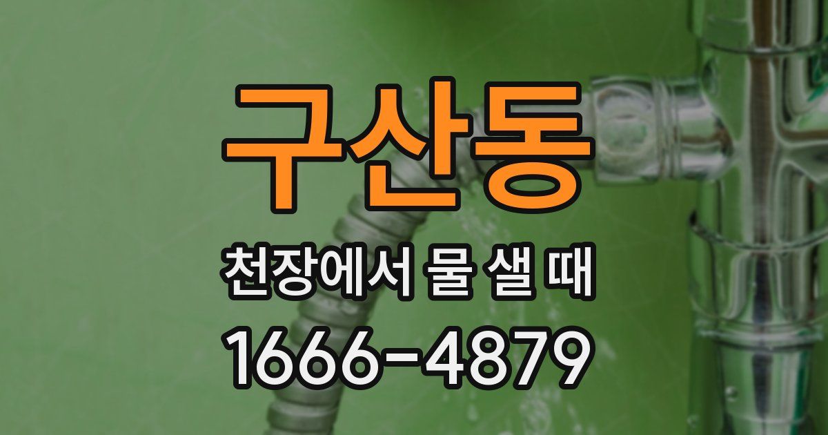 구산동 천장에서 물 샐 때