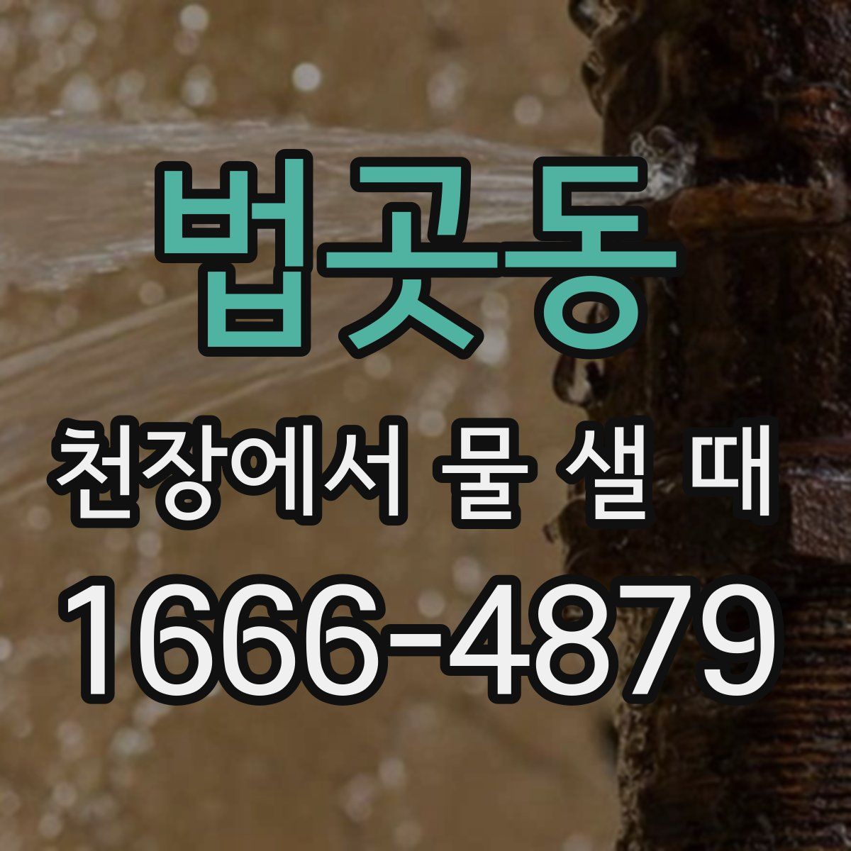 법곳동 천장에서 물 샐 때