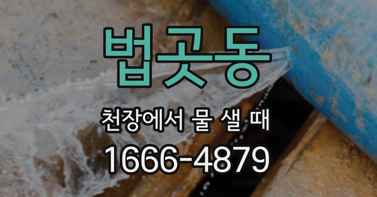 법곳동 천장에서 물 샐 때