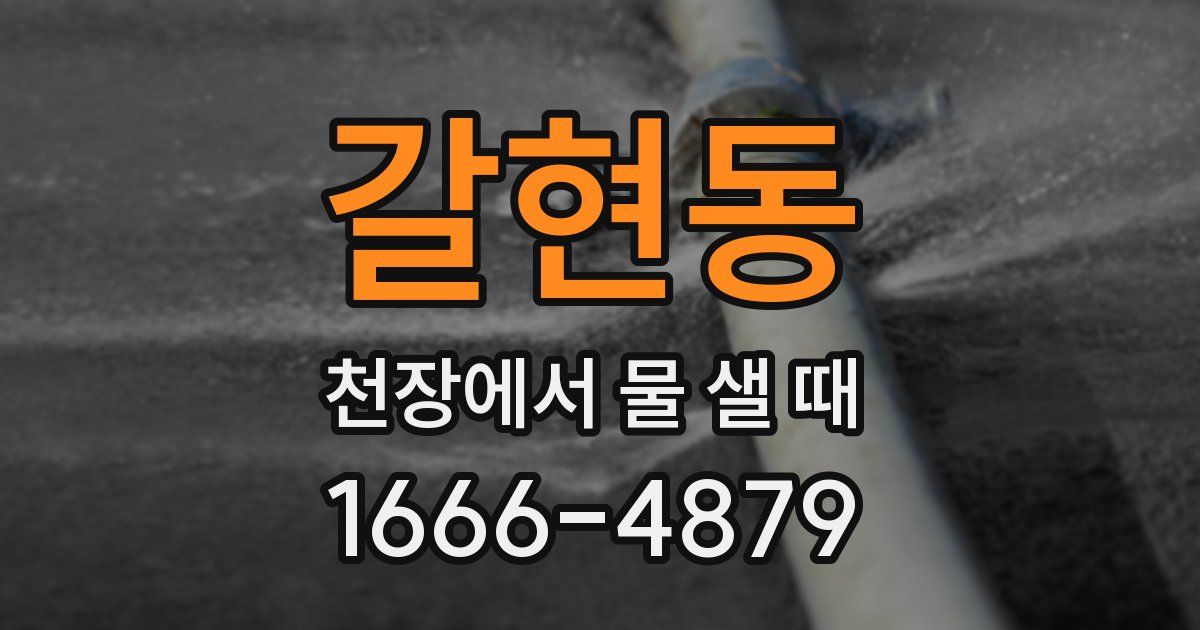 갈현동 천장에서 물 샐 때