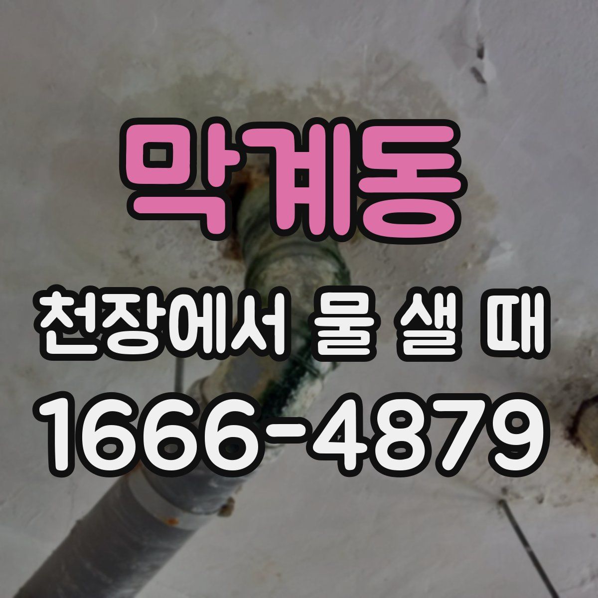 막계동 천장에서 물 샐 때
