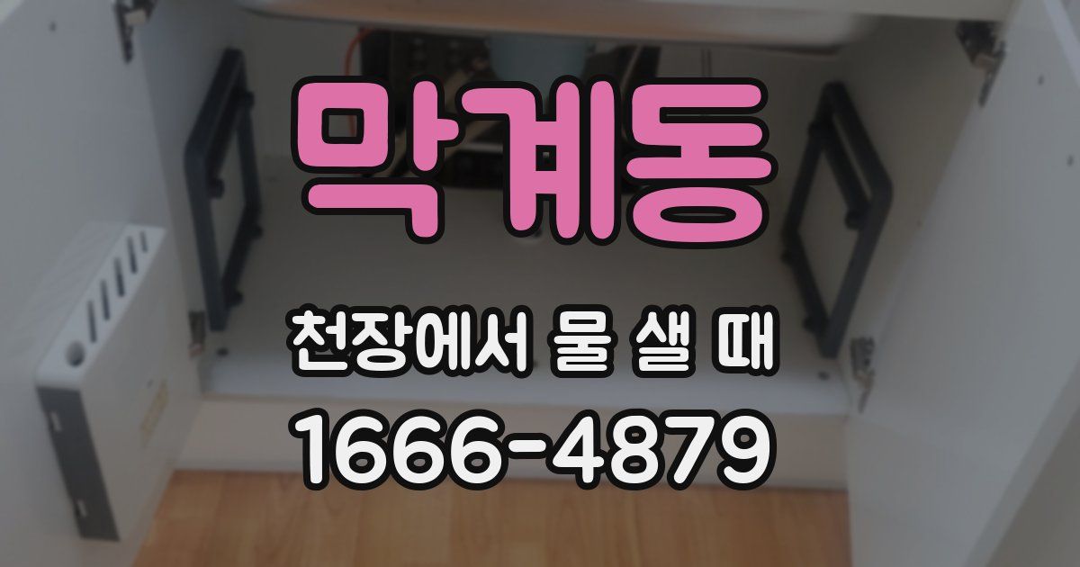 막계동 천장에서 물 샐 때