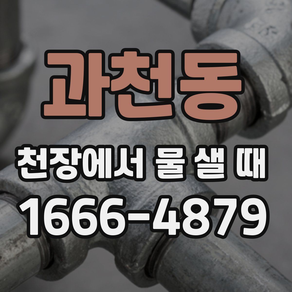과천동 천장에서 물 샐 때