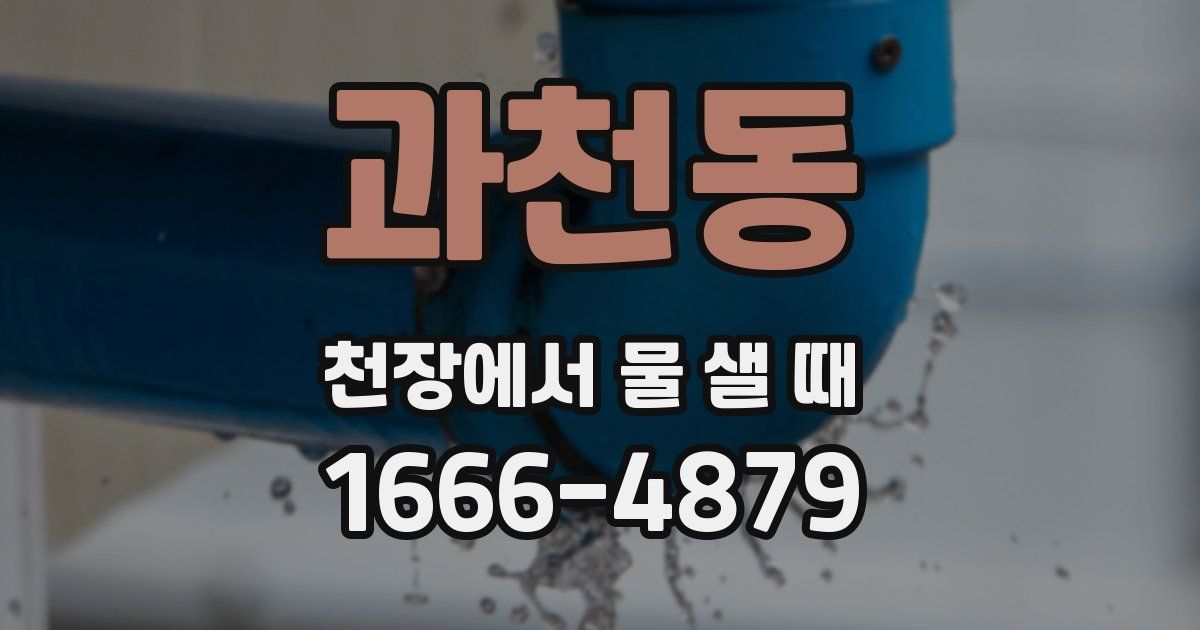 과천동 천장에서 물 샐 때