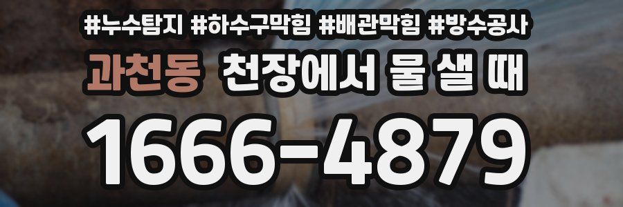 과천동 천장에서 물 샐 때