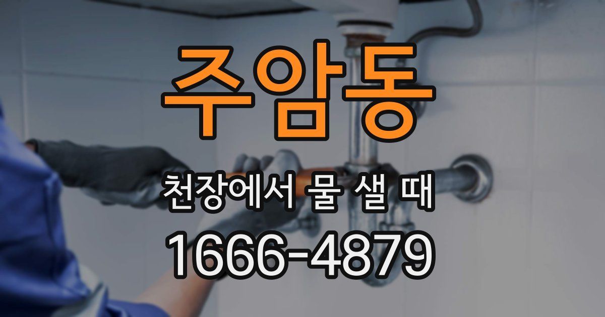주암동 천장에서 물 샐 때