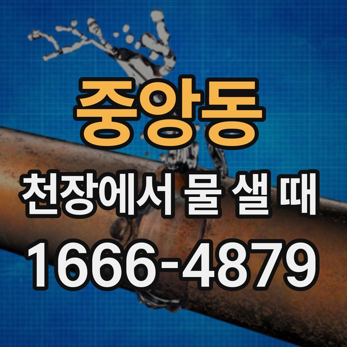 중앙동 천장에서 물 샐 때