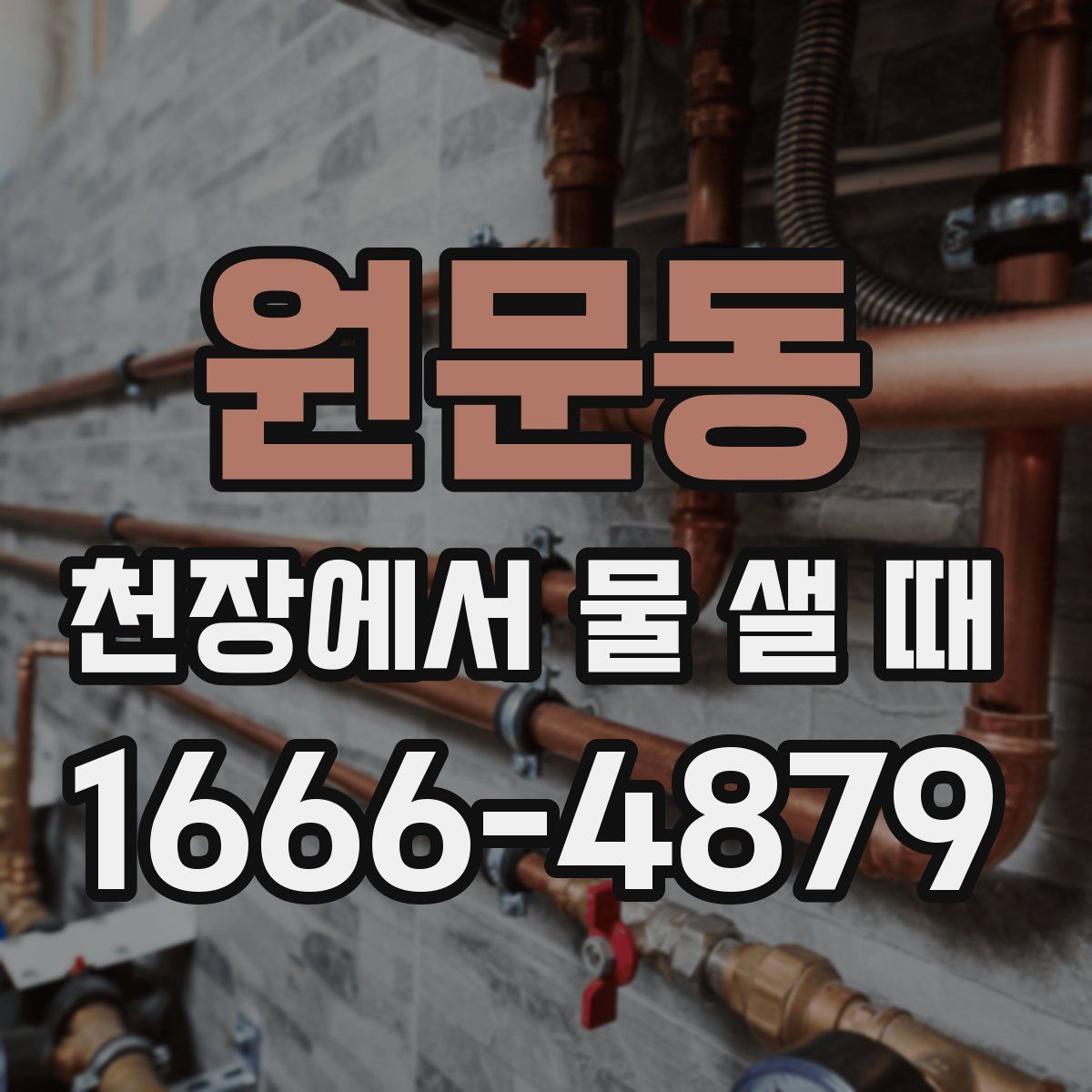 원문동 천장에서 물 샐 때