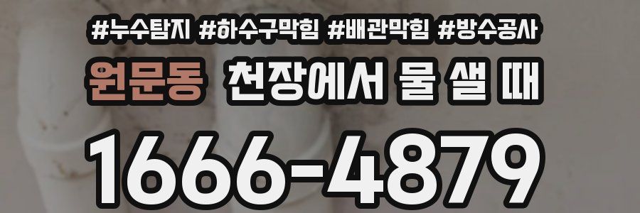 원문동 천장에서 물 샐 때