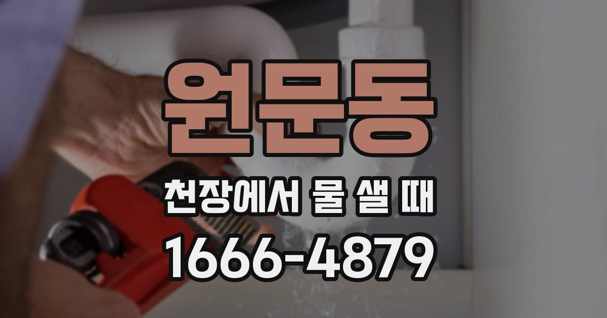 원문동 천장에서 물 샐 때