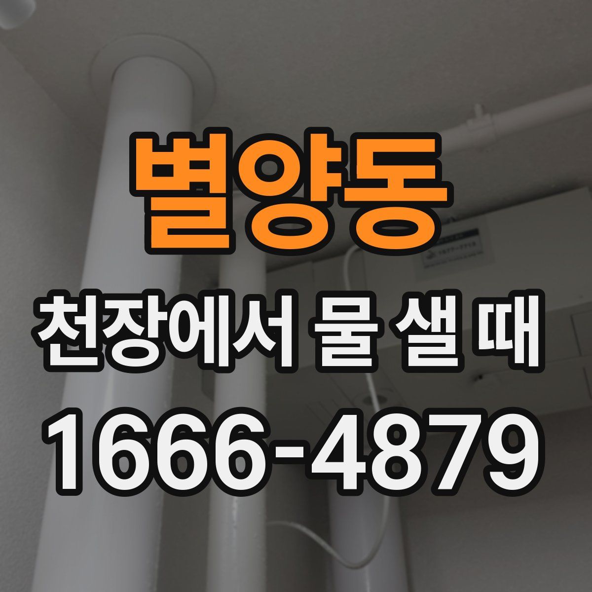 별양동 천장에서 물 샐 때