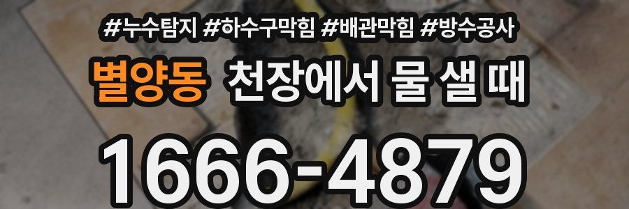 별양동 천장에서 물 샐 때