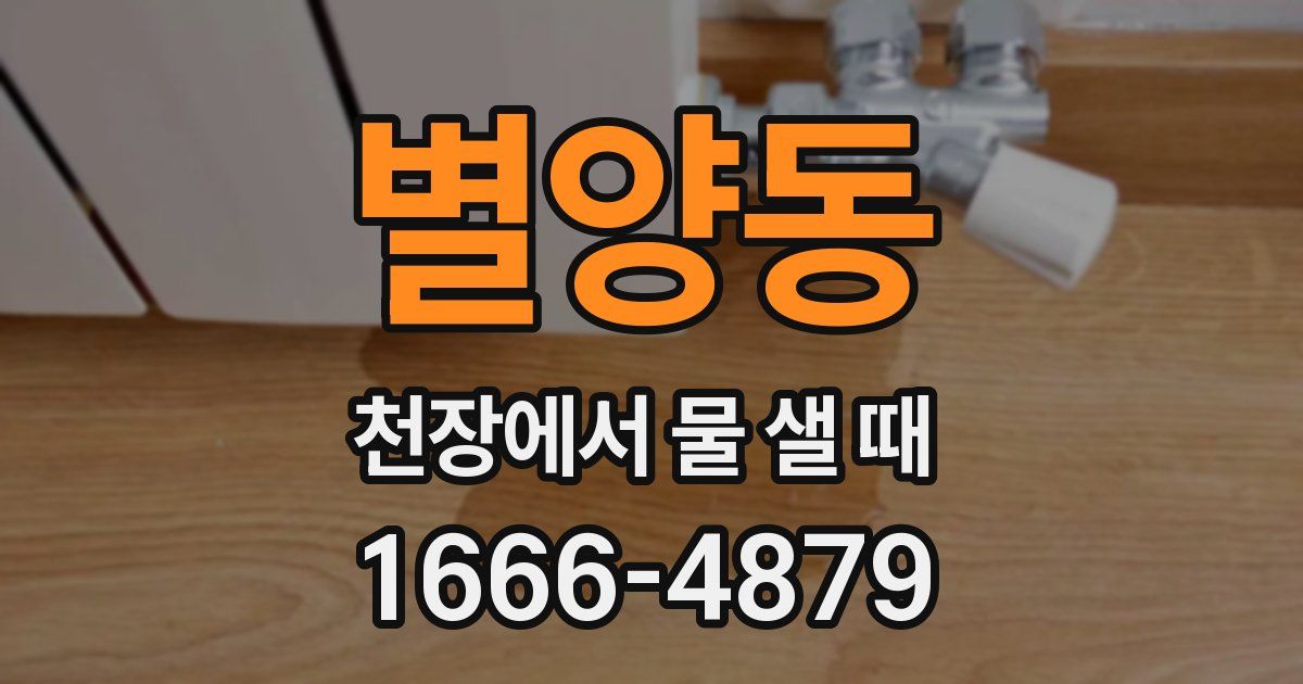 별양동 천장에서 물 샐 때