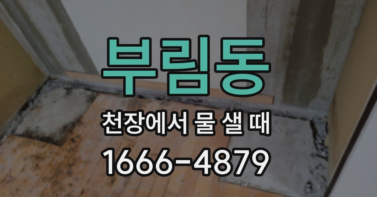 부림동 천장에서 물 샐 때