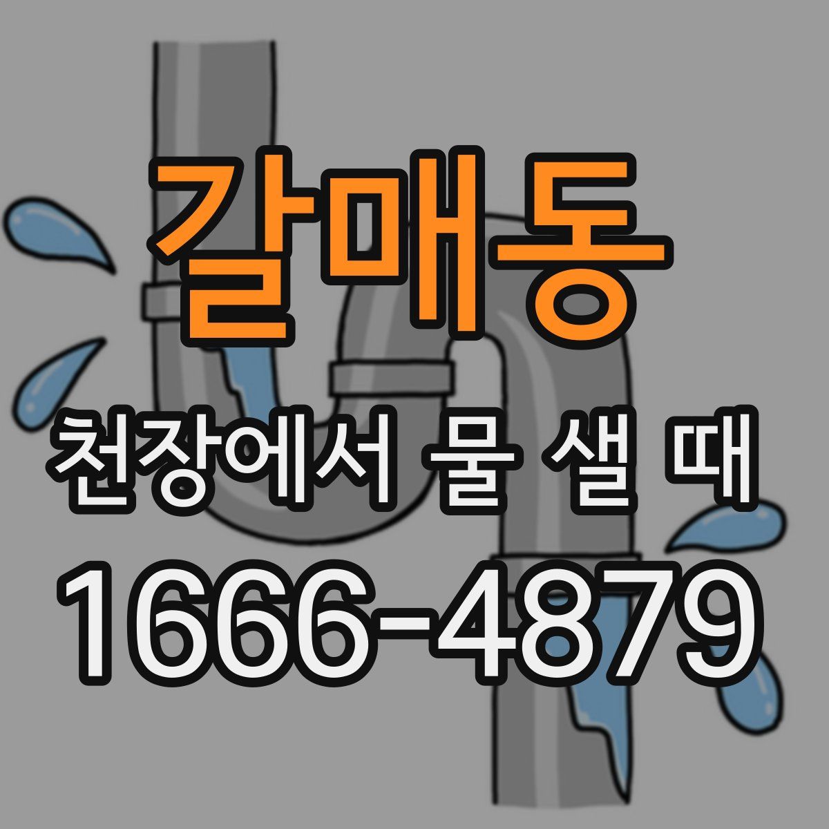 갈매동 천장에서 물 샐 때
