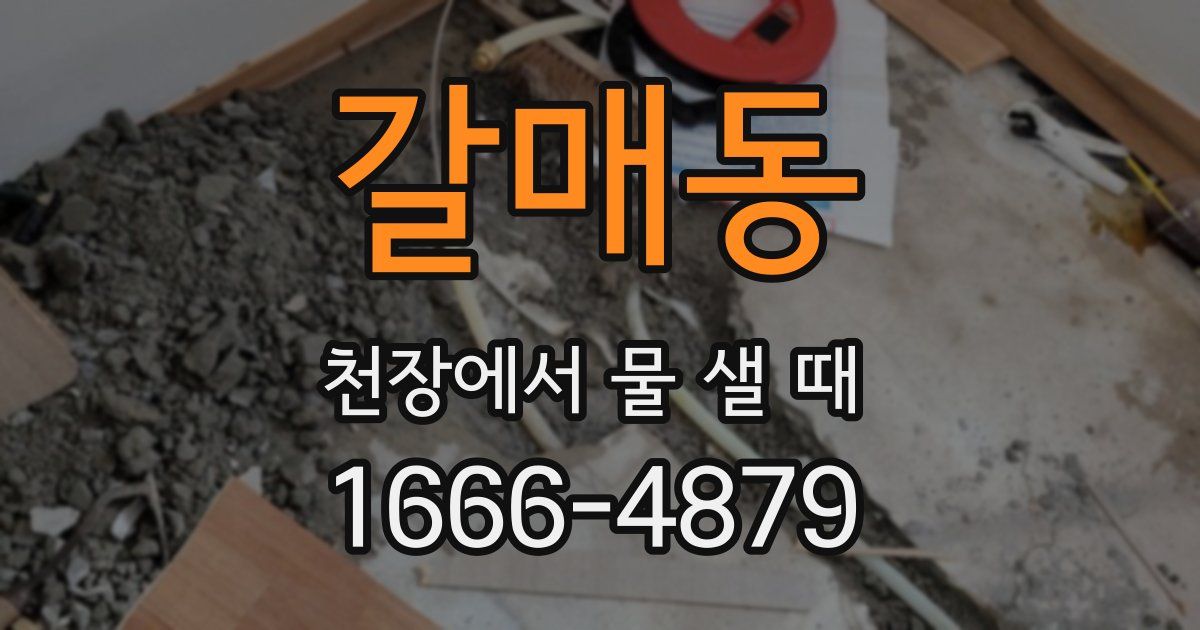 갈매동 천장에서 물 샐 때