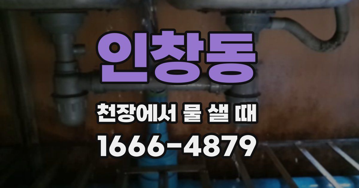 인창동 천장에서 물 샐 때