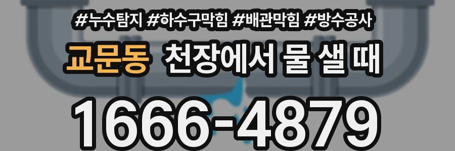 교문동 천장에서 물 샐 때