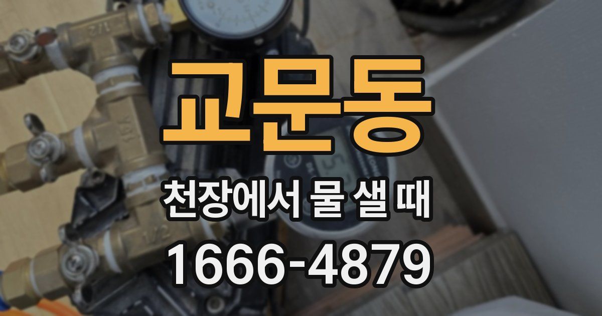 교문동 천장에서 물 샐 때
