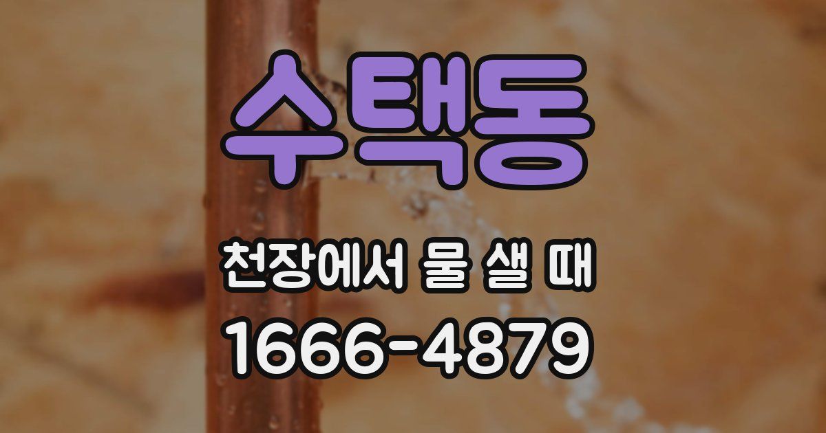수택동 천장에서 물 샐 때
