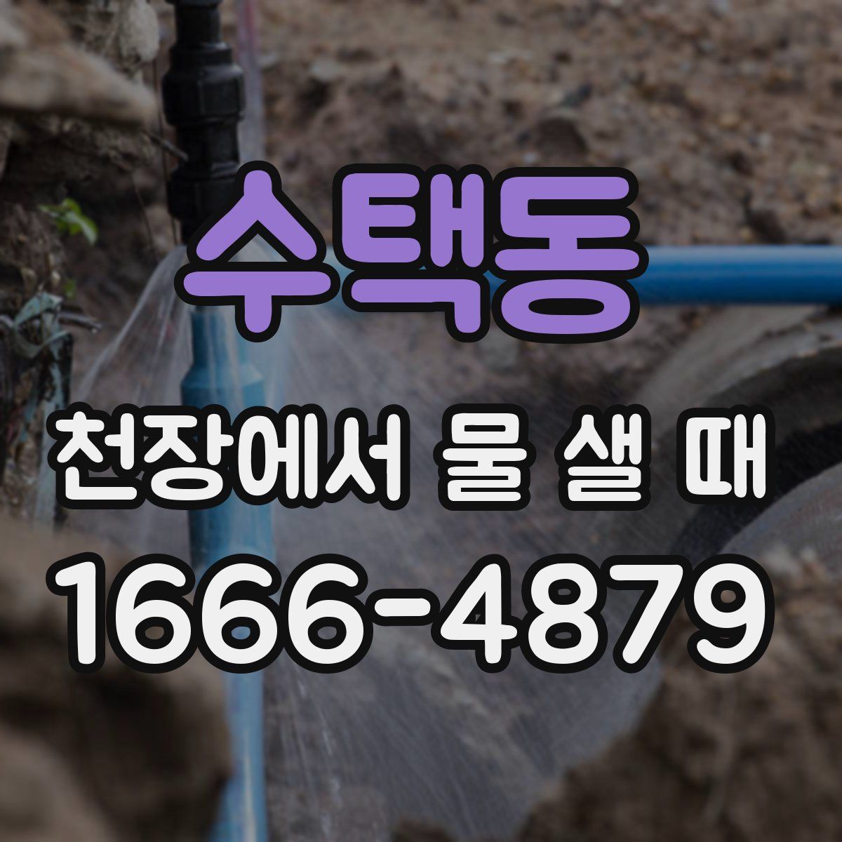 수택동 천장에서 물 샐 때
